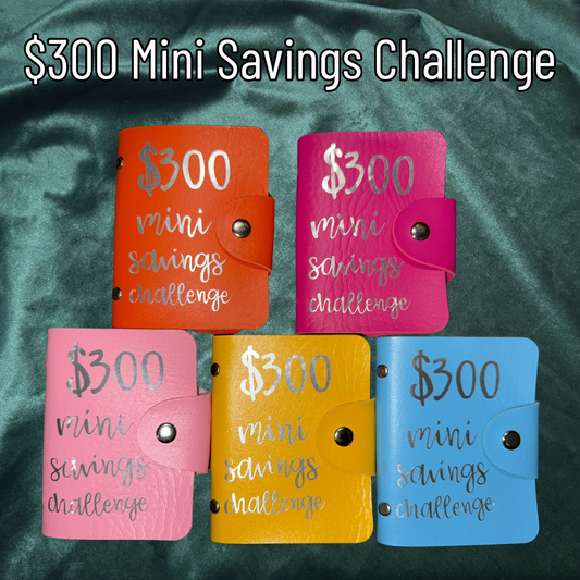 $300 Mini Savings Challenge | Cash Savings Wallet