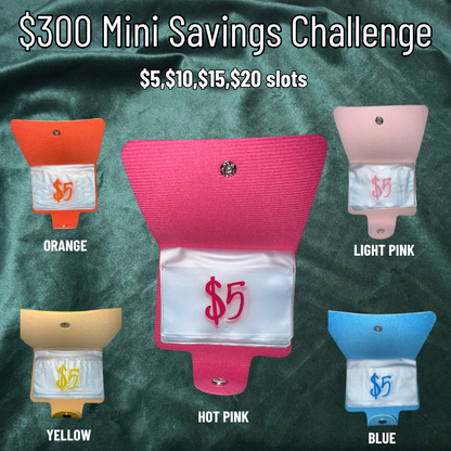 $300 Mini Savings Challenge | Cash Savings Wallet
